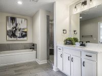 mstr-bath-2-web